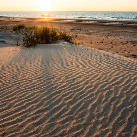 Apartamento Bright With Sunny Terrace